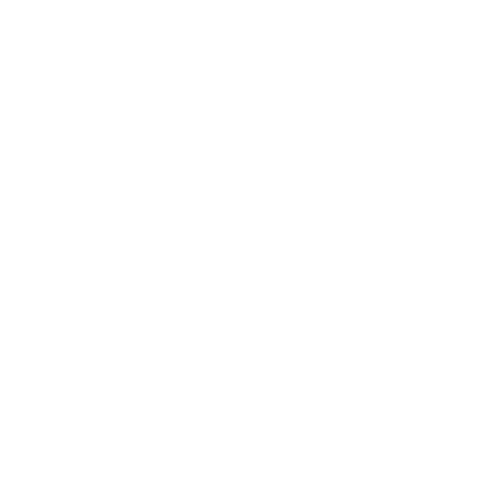 SurfInn Logo